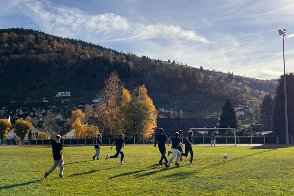 IMG-20251111-WA0017 IMG-20251111-WA0017