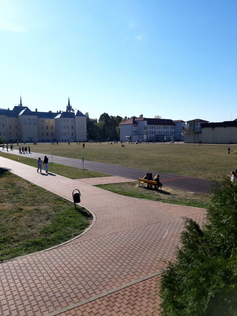 image-1791465368961
